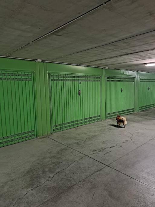 Apartmán Centrale Vicino Spiagge E Ciclabile + Box-Auto ! Arma di Taggia Exteriér fotografie