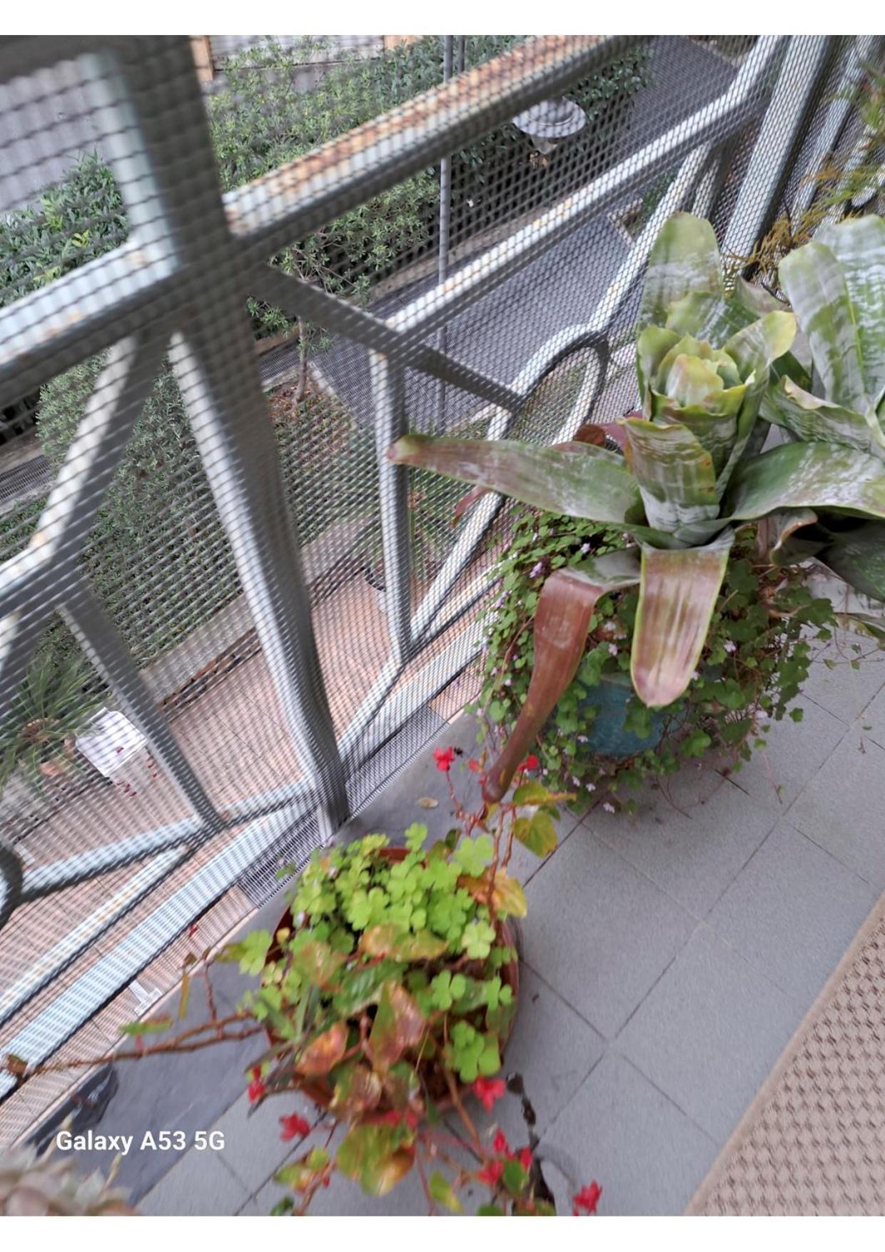 Apartmán Centrale Vicino Spiagge E Ciclabile + Box-Auto ! Arma di Taggia Exteriér fotografie